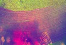 La creatividad como práctica espiritual