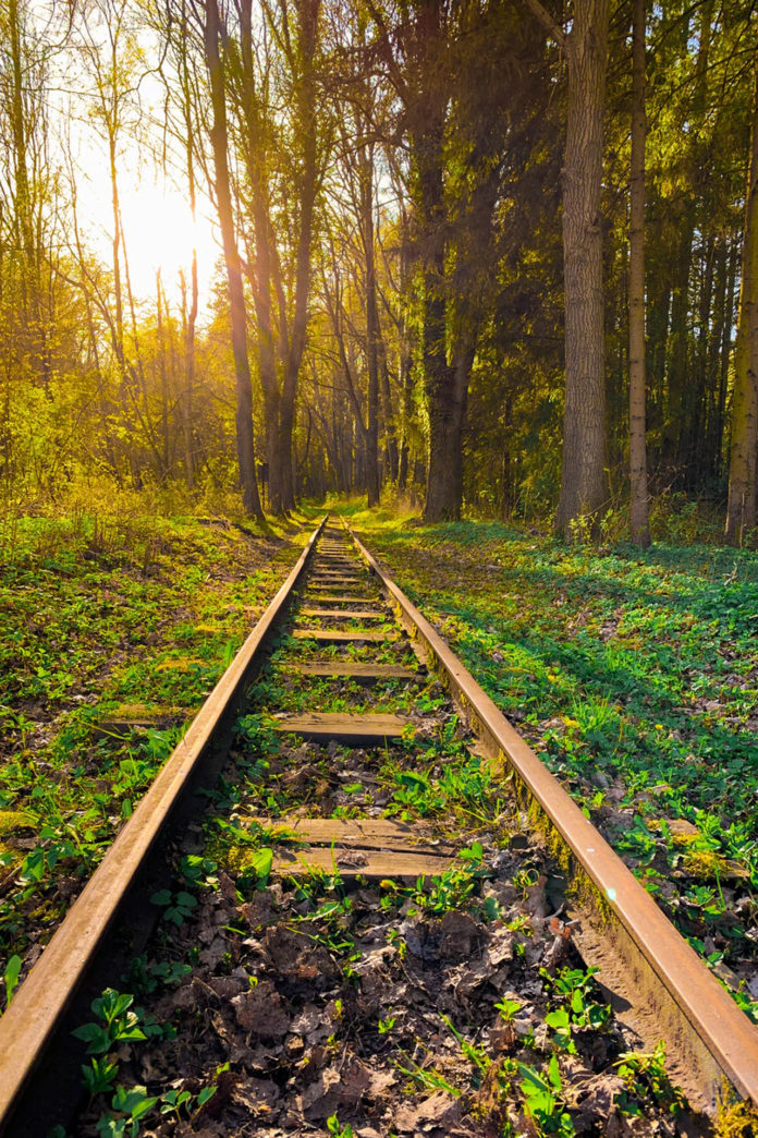 testigos-de-la-memoria