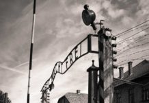 (No) se puede testimoniar