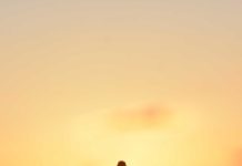 Introducción al Judaísmo y Bar y Bat Mitzvá de adultos